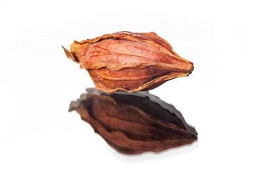 《龙之信条2》PC版推出时支持Nvidia DLSS3